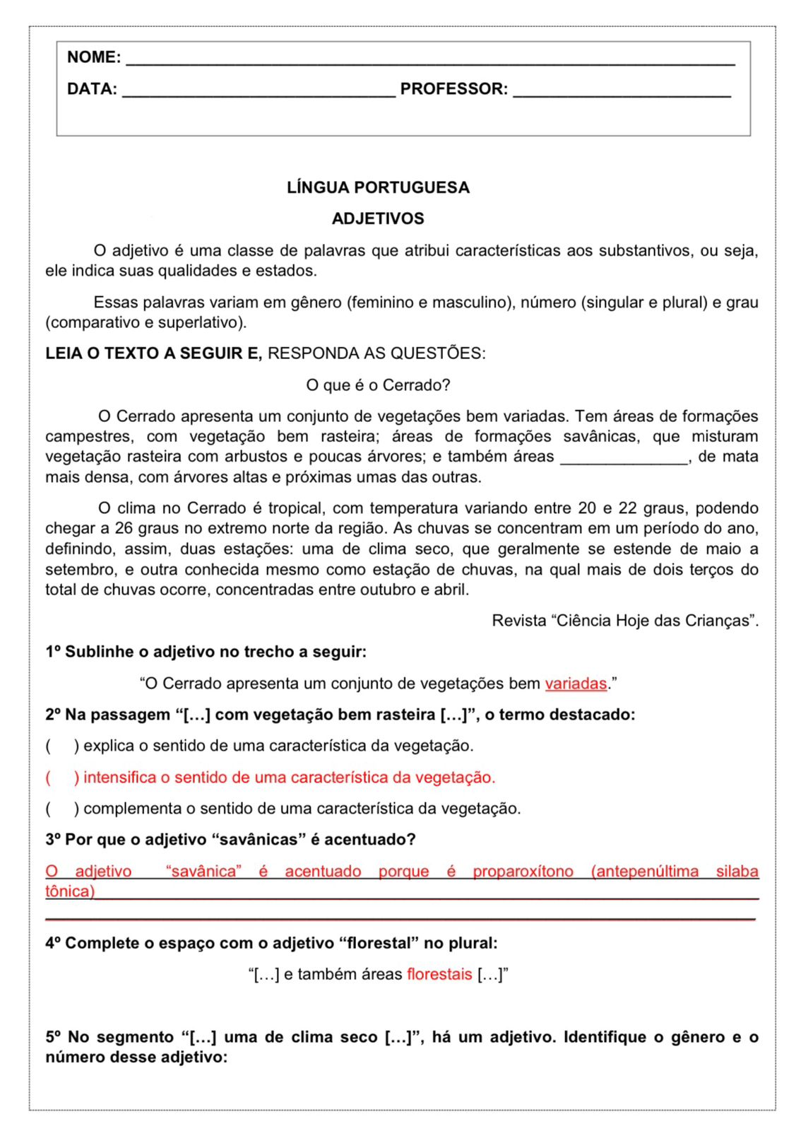 WhatsApp Image 2024-07-03 at 14.49.09